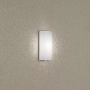 �_�C�R�[ LED�|�[�`���C�g�y�d�C�H����p�z DXL-81293C DAIKO [DXL81293C]