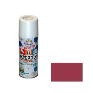 ATqy prXv[ 300ml(ubNbh) ^EgXv-300ML BRD