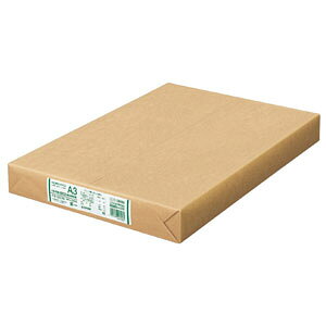 RN KBp ᔒFĐ100 A3 500 KB-SS38