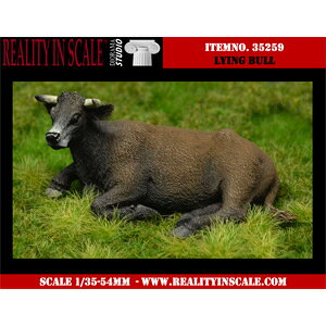 Reality In Scale 1/35 鋍2yRIS35259z fBe[Abvp[c