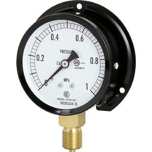 ����v�� ���ʌ`���͌v�iB�g���`�E��75�EG3/8B�E0.0�`1.60MPA�j AC20-231-1.6MP