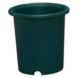 ACXI[} fB[|bg 9 (n^[O[) fC[|cg9SE(HGL) IRIS