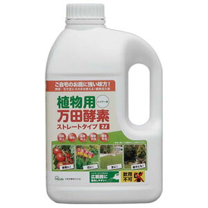 ACXI[} ApcyfV[^Cv (2L) RE\V-^Cv2L