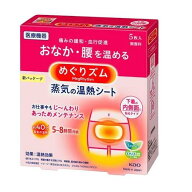めぐりズム 蒸気の温熱シート 下着の内側面に貼るタイプ 5枚入 花王 メグオンネツSシタギ5P