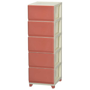 JEJAXe[W fRj[ `FXg 5iiAC{[/sNj 1020550 [1020550JEJ]