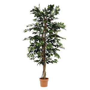 sf lHϗtA tBJX 1124 A 52662 19840 tFCNO[ [52662tW{EGL]