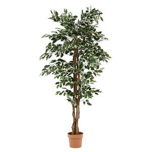 sf lHϗtA tBJX 1124 B 52664 19844 tFCNO[ [52664tW{EGL]