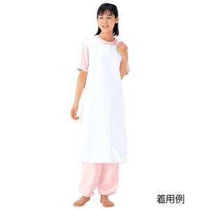 �G���[�� ������G�v�����@�i�ʃt�@�X�i�[�^�C�v�j�@�z���C�g/L 6012(0-3808-08) [60120380808]