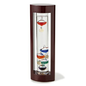 JY KXt[gxv L 333-202 Fun Science KIxv [333202]