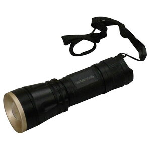 LveX^bO LEDd@80[ UK-4024 CAPTAIN STAG _ A~p[`bv^LEDCgi1W-80j [UK4024LveX^cO]