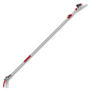 AXR[|[V Lk}Y[`LK^Cv Arݕt 184ZKA-3.0-5D