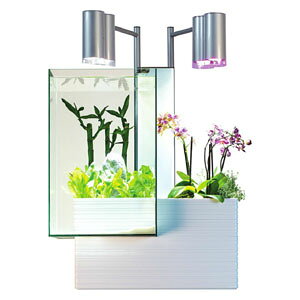 xp[gi[ {pE60Hz brio35 (zCg) 329020 uI35 Zbg [329020x]