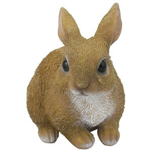 Z[uEC_Xg[ ̂肤 SV-5967 SAVE I[ig K[f CeA [SV5967]