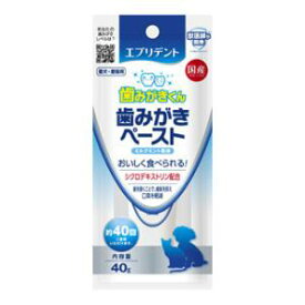 エブリデント 歯みがきペースト 40g アース・ペット エブリデントハミガキペ-スト