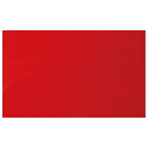 V }OV[g Ȃ B 10×30cm 0.8mm  72047