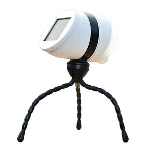 TV \[[[dLEDZT[Cgi1W×1j ASL-093 musahi RITEX ǂłZT[Cg\[[ [ASL093]