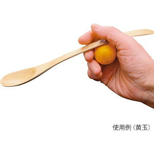 ECh  H i ʁj SJ11TW [SJ11TW]