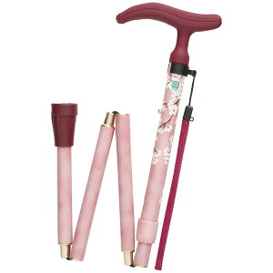 tWz[ ܂肽ݎXebL ւStisNj WB3909 ANeBuO[X [WB3909]