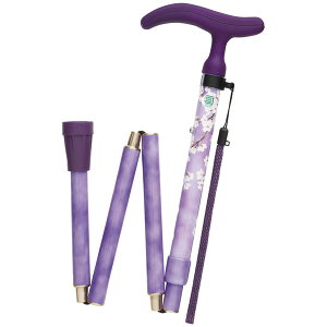 tWz[ ܂肽ݎXebL ւStip[v) WB3910 ANeBuO[X [WB3910]