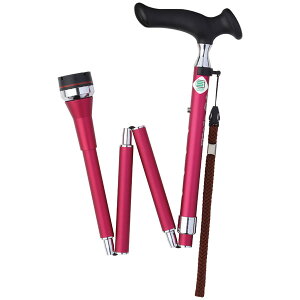 tWz[ ܂肽ݎXebLi[Yj WB3835 邪 [^[ [WB3835]