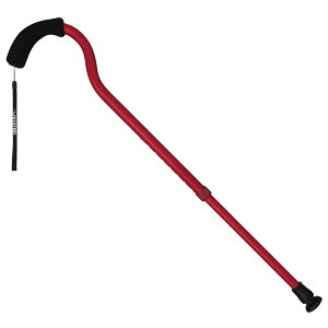 tWz[ LkXebLifB[vbhj WB3884 t~SN [WB3884]