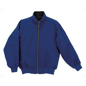 fTg 싅E\tg{[pOEhR[giROYETCYFMj DS-DR203-ROY-M DESCENTE@Xgb` `^T[WPbg