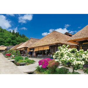 G|bN {̕i h() 300s[Xy25-173z WO\[pY