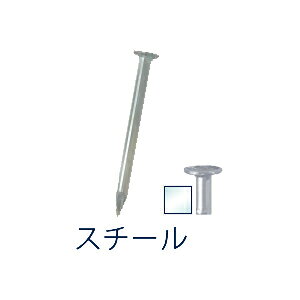 Y lCCbg B 17×19 X`[(r350{) NB70001 Nail itII [NB70001]