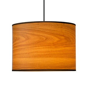 ^LY~ LED^y_gyR[h݁z GL1120P TAKIZUMI [GL1120P]