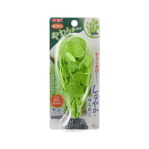 ANAEpi i sAvc `hOT GEX WFbNX sAvc`hOT