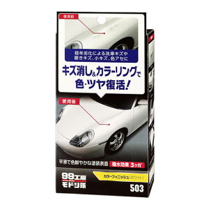 \tg99 99H[hV J[tBjbV(zCg) 09503 SOFT99