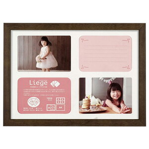 nNo ؐtHgt[uG[W@Vev A4ʁiuEj FWLGC-BRA4T