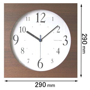 tH[JXEX[ |v Focus Three@XNGAio[NbNiuEj V-006(BR) [V006BR]yԕiAz