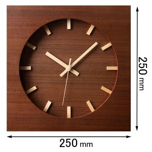 �t�H�[�J�X�E�X���[ �|�����v Focus Three�@�E�H�[���i�b�g�N���b�N�i�u���E���j V-088(BR) [V088BR]�y�ԕi���A�z