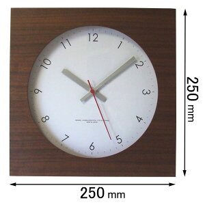 �t�H�[�J�X�E�X���[ �|�����v Focus Three�@�E�H�[���i�b�g�̎��v�i�u���E���j V-0023(BR) [V0023BR]�y�ԕi���A�z