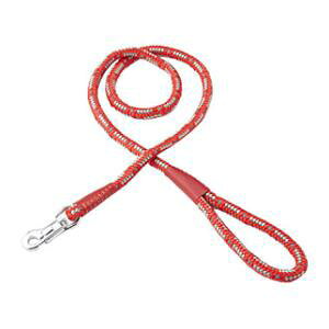 NEW lI[h 10mmibhj yeBI NlI-h 10MM ch