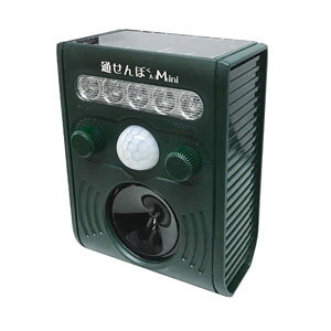 xmq Qbޑu ʂڂ ~j FJK-193 ʂڂ Mini ʂڂ Mini