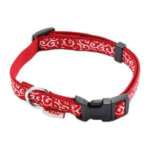  J[ SSibhj yeBI Ck~rJNTJ-SSch