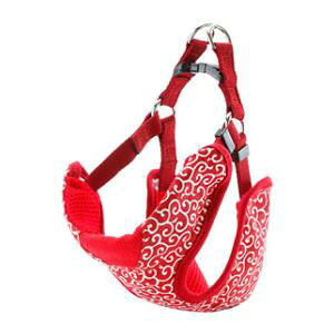  xXgn[lX SSibhj yeBI Ck~rJNTVH SSch