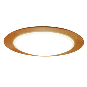 �X���� LED���^�V�[�����O���C�g�y�J�`�b�g���z CE-50NA [CE50NA]