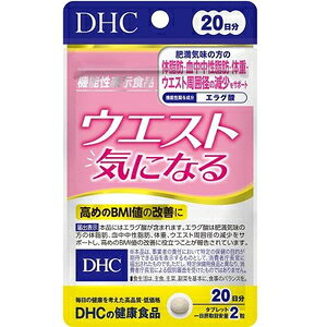 20EGXgCɂȂ@ 40 DHC 20j`EGXgLji40ct