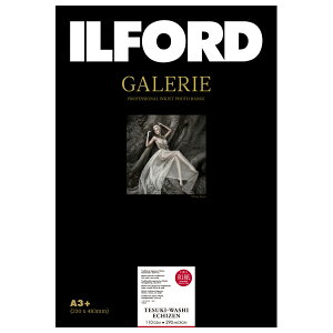 CtH[h CNWFbgp 荗a zO X^_[h(110gsm) eNX`[h}bgʎ Deckle Edge A3+ D 10 ILFORD GALERIE Tesuki-Washi EchiZen M[ t@CA[ga 433304