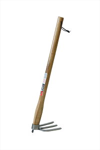  yԒdLXeO{L 600t 70825 |Ɨpi