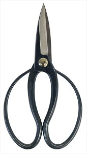  nvi200mmj 192107 |Ɨpi