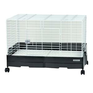 pP[W@pP[W C[W[z[G{ 80-BK(2XmRdl) OW EHG{80-BK2WVXmR