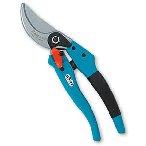 J}L OXt@Co[ oCpX200 #881 kamaki@ݖ{_H쏊