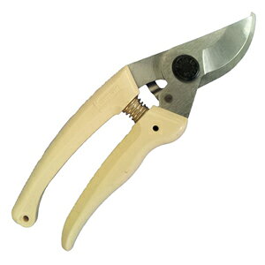 J}L RpNg N oCpX 185 #50 kamaki@ݖ{_H쏊