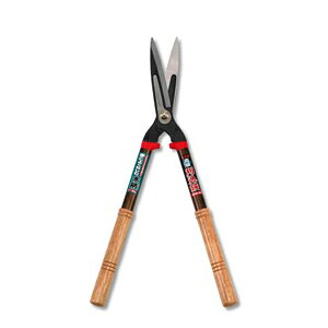 J}L A~nhؕObvt  #250W-30 kamaki@ݖ{_H쏊