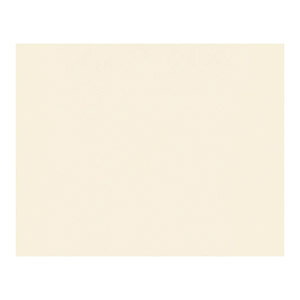 ハクバ 無地台紙 No.790 2L(カビネ)サイズ 1面 (ヨコ)(クリーム) M790-2LY-1 HAKUBA
