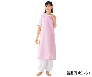 �G���[�� ������G�v�����i�ʃt�@�X�i�[�^�C�v�j�s���N/L 6012(L)(0-3808-06) [6012L0380806]